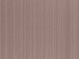 Edelstahlblech mit Haarlinienschliff mit TiN-Bronze Beschichtung