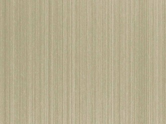 Edelstahlblech mit Haarlinienschliff mit TiN-Champagne Beschichtung